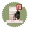 Palm Leaf Green Mat Board for 18x24 Frames - Fits 13x19 Photos